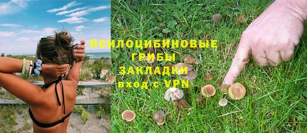 2c-b Беломорск