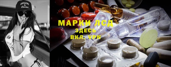 индика Белоозёрский
