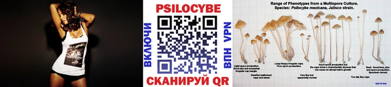 Галлюциногенные грибы Psilocybe Корсаков